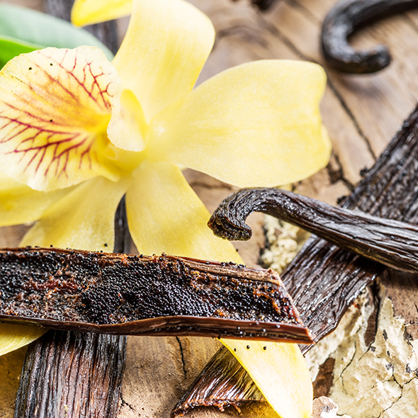 L’or noir parfumé de la vanille Bourbon